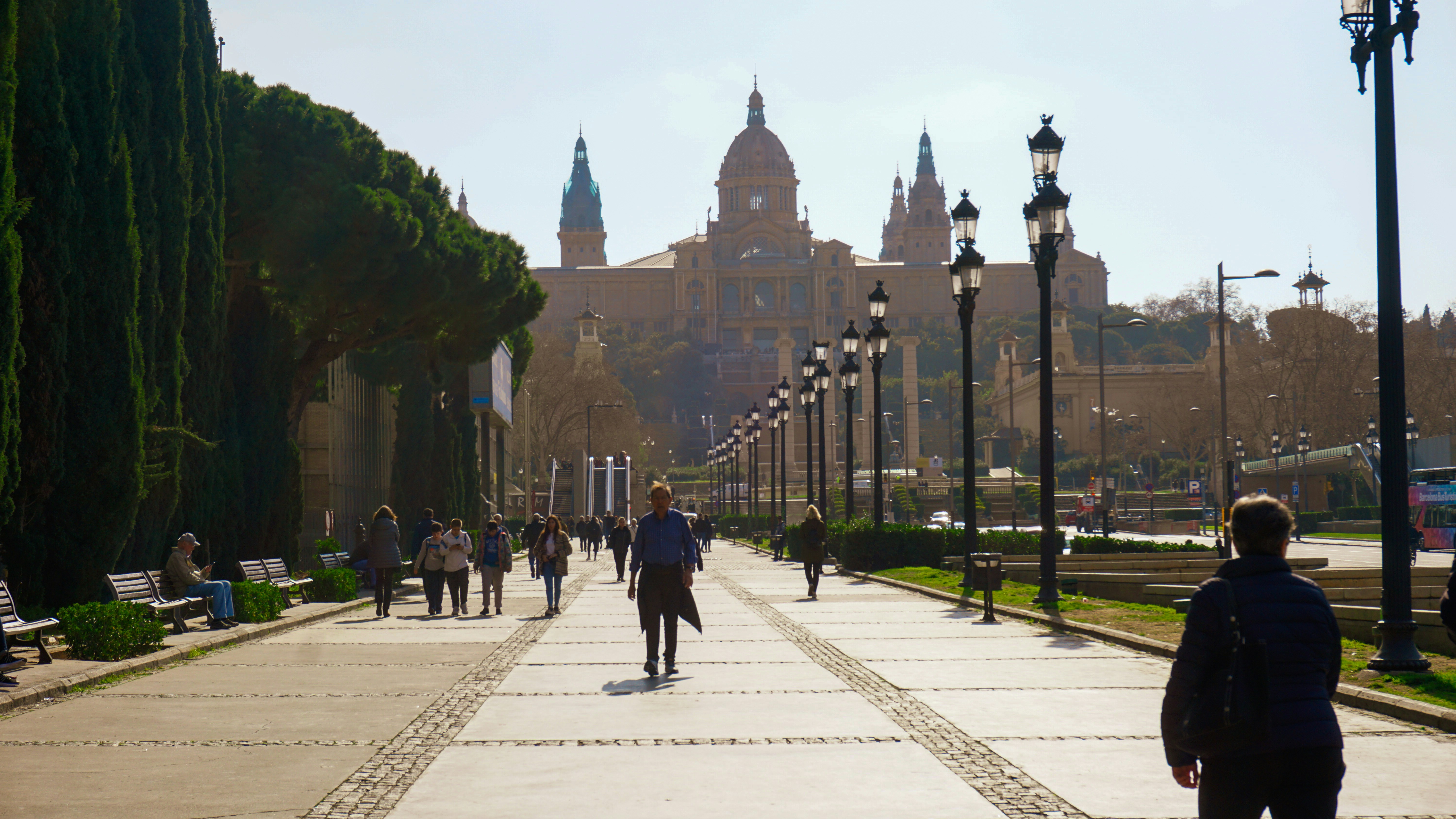 Capitalización del Paro